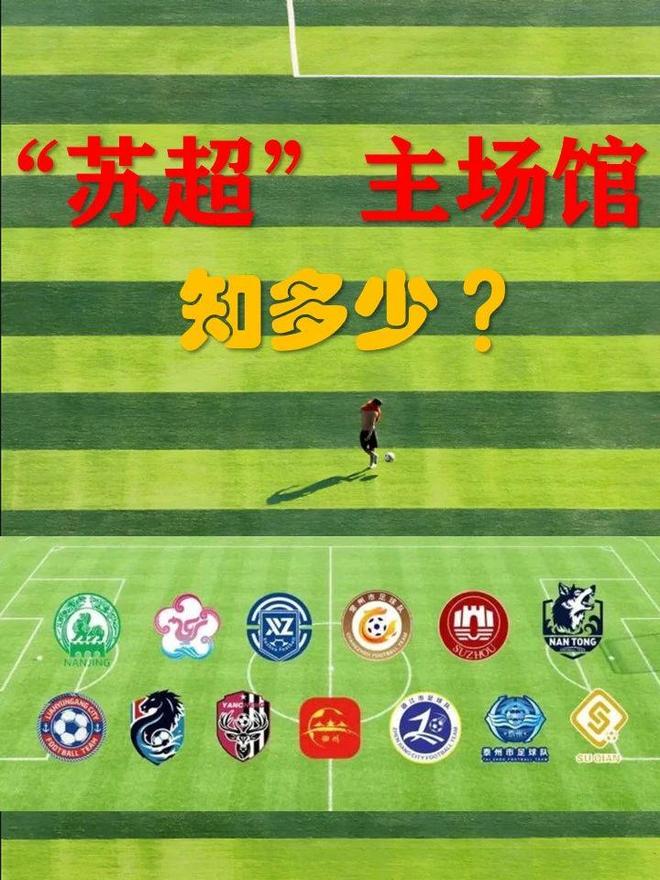 开云足球直播-主场劣势反败为胜，带球队走向胜利