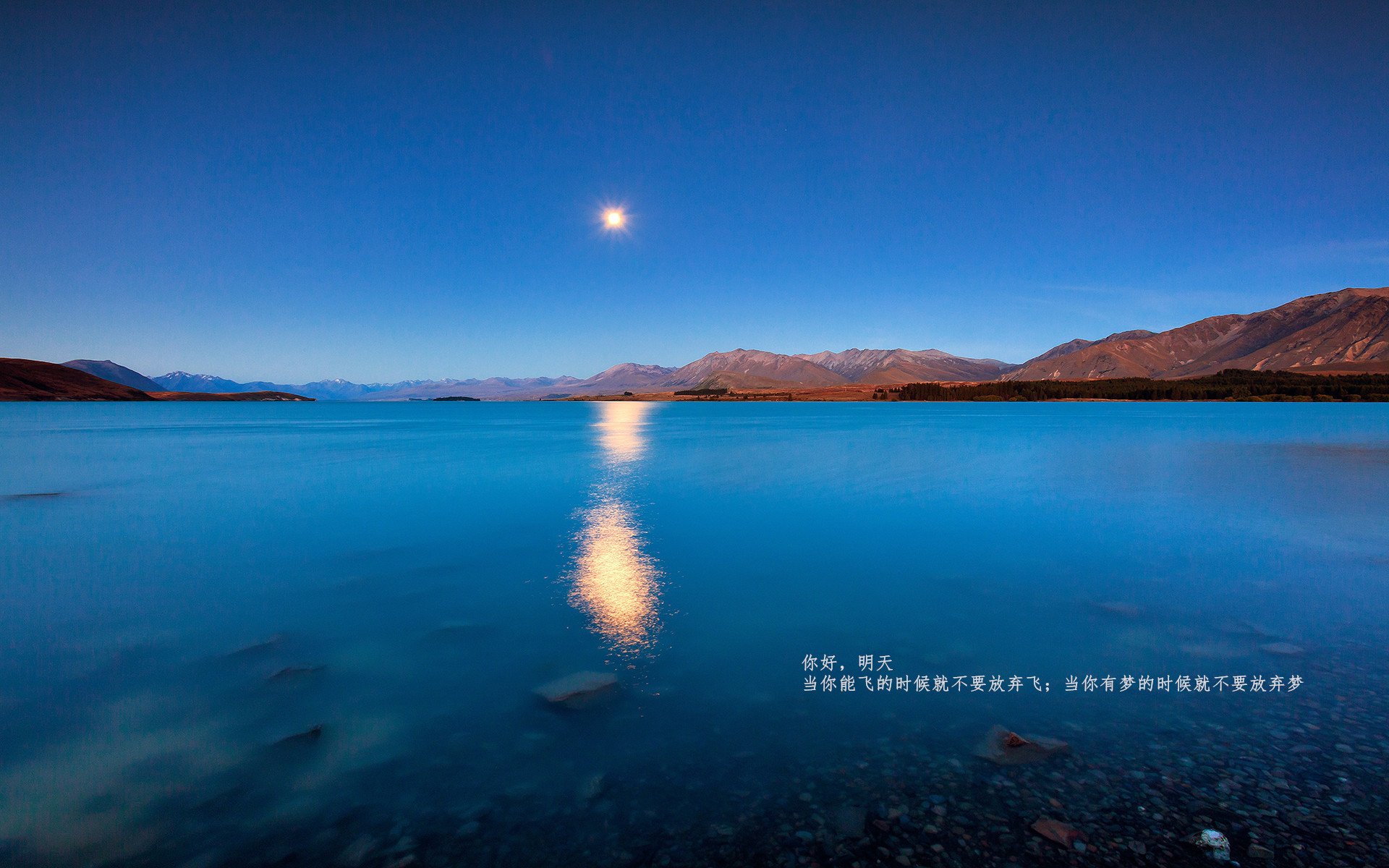 开云体育下载-奇才连续得分压制黄蜂，英格拉姆成为关键先生