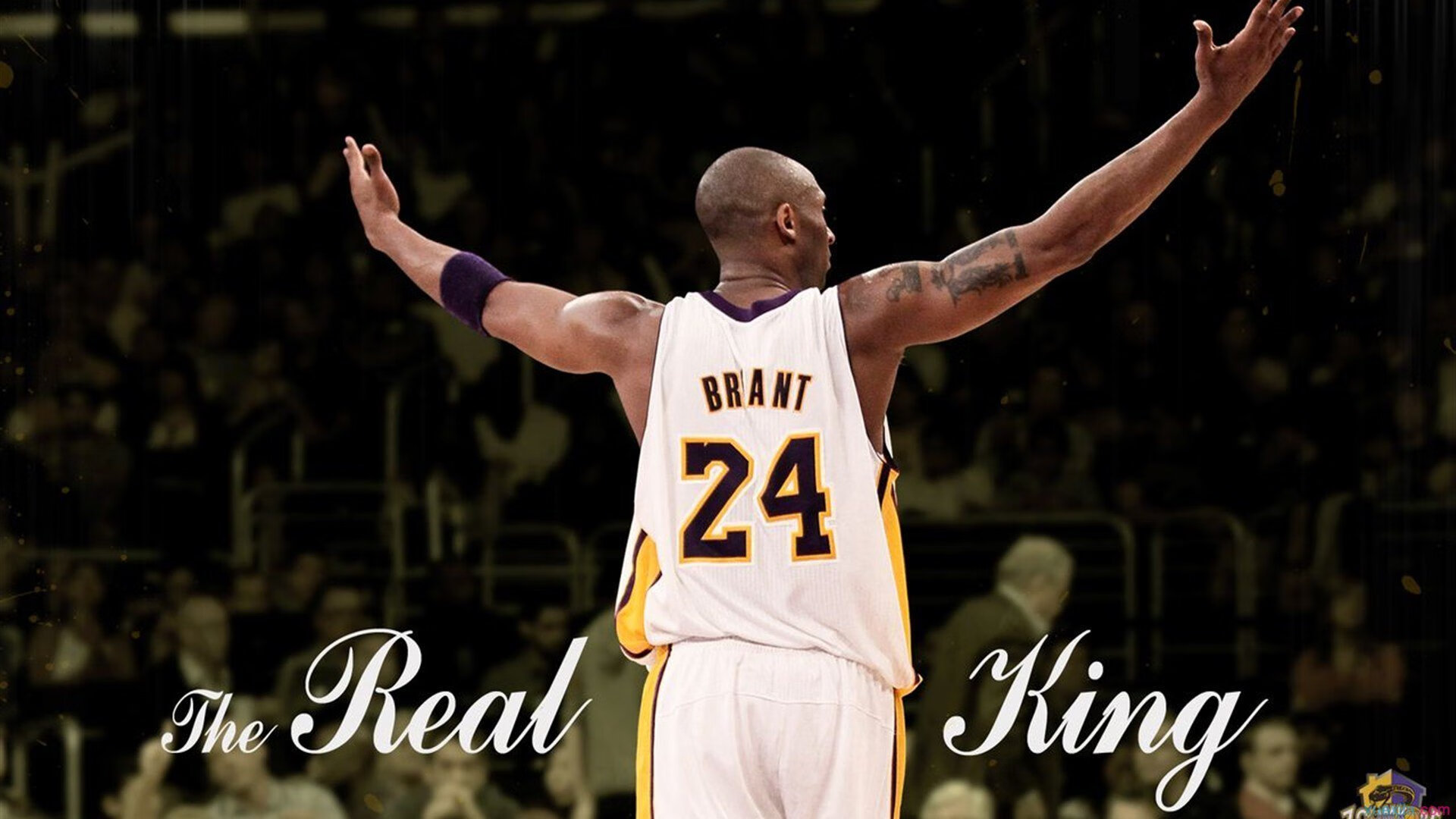 从戴维斯杯险胜到美网突破，鲁德如何点燃赛场，重塑北欧网球传奇