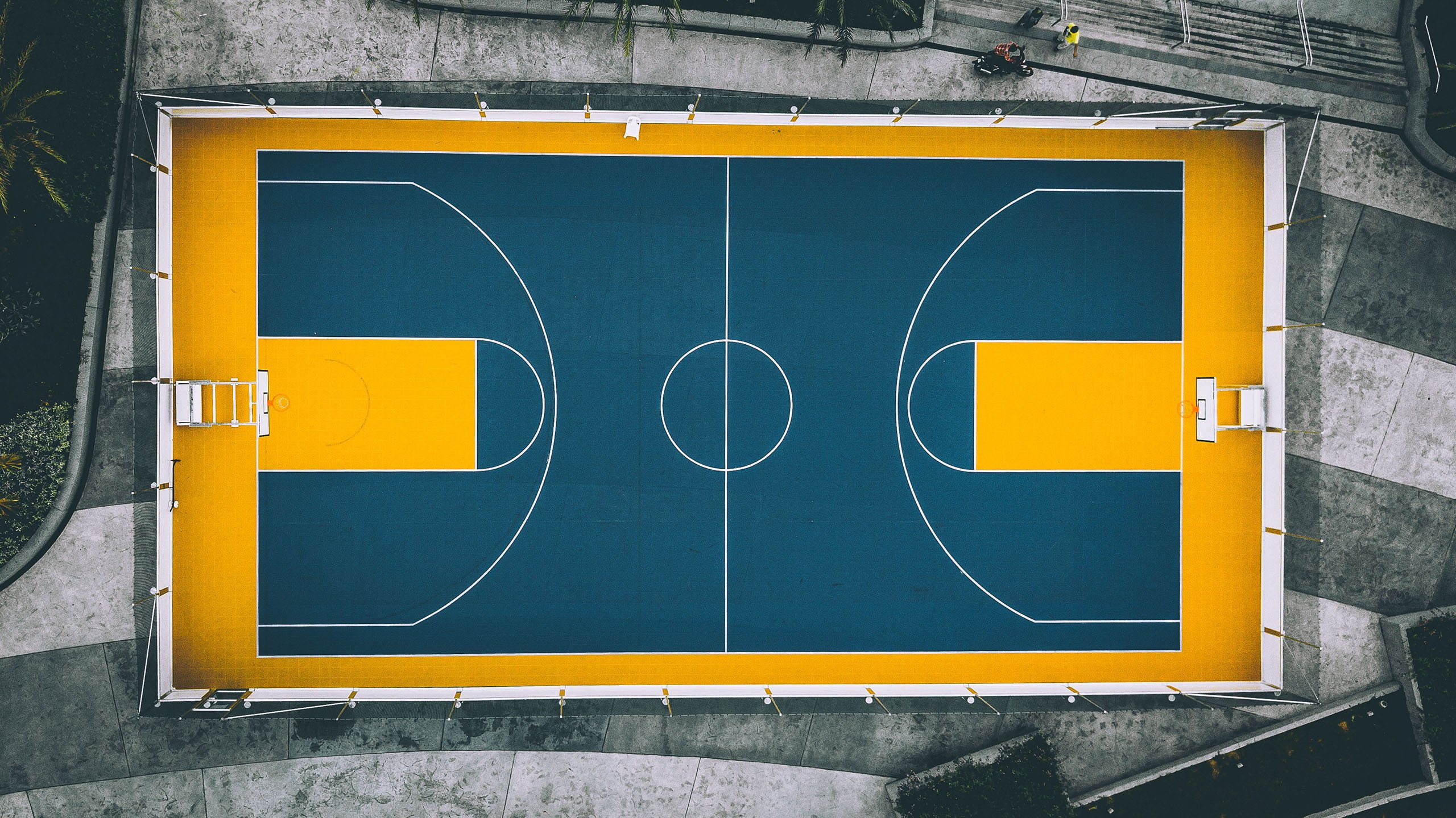 当轮胎耗尽时,灵魂开始燃烧—诺里斯绝杀蒙扎,与凯迪拉克共书唯一性传奇